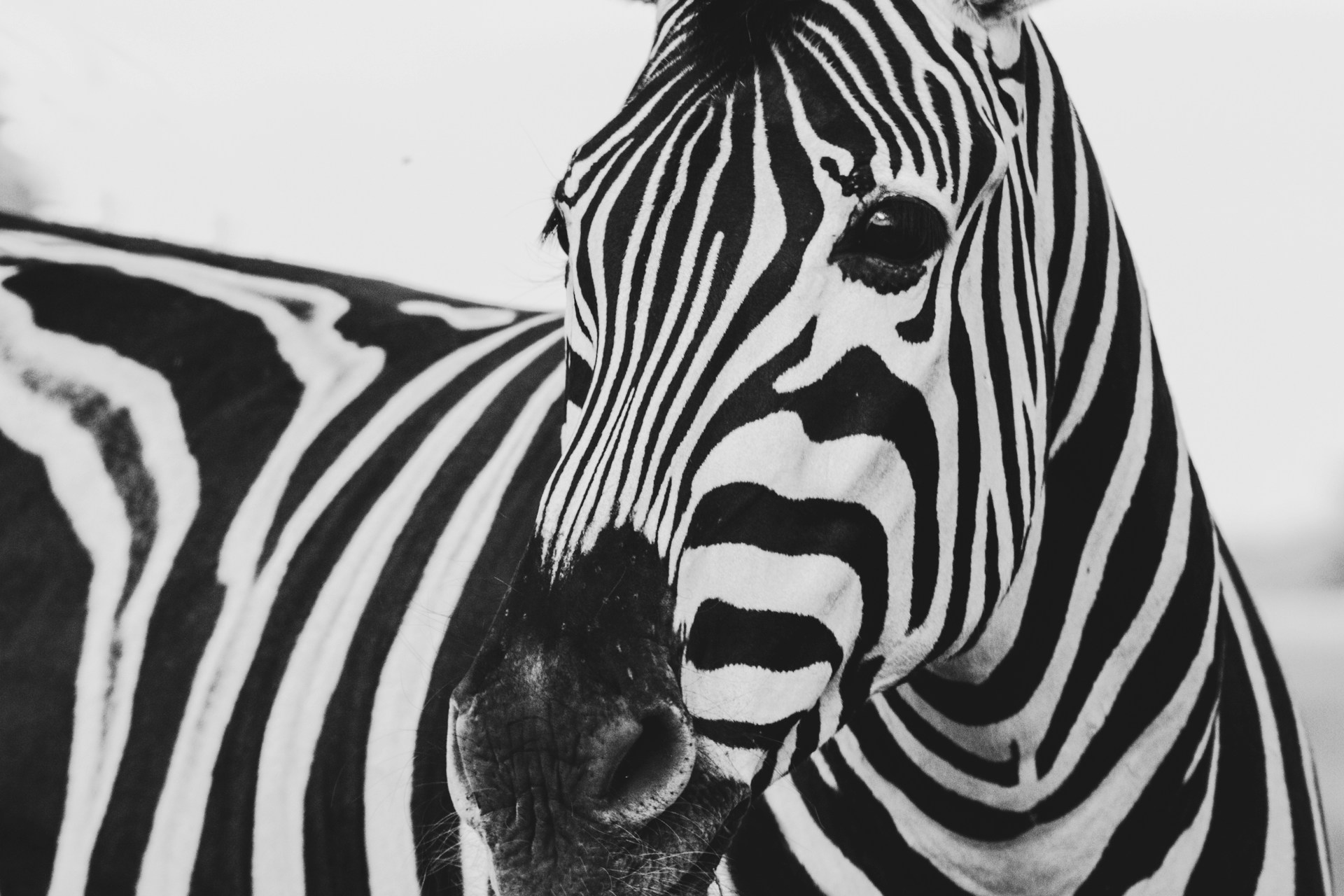 Traditional Nepali palace architecture detail