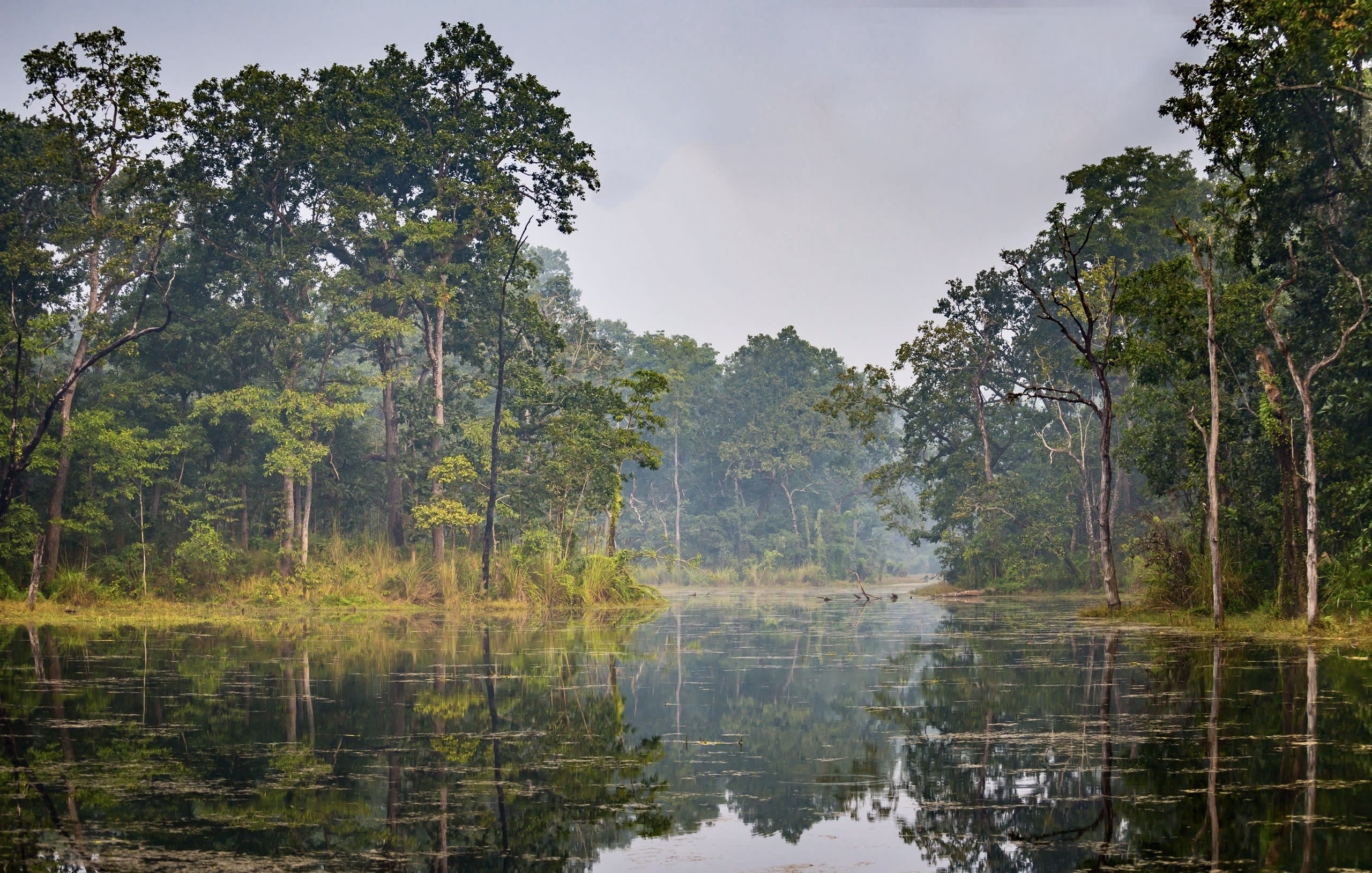 =Chitwan